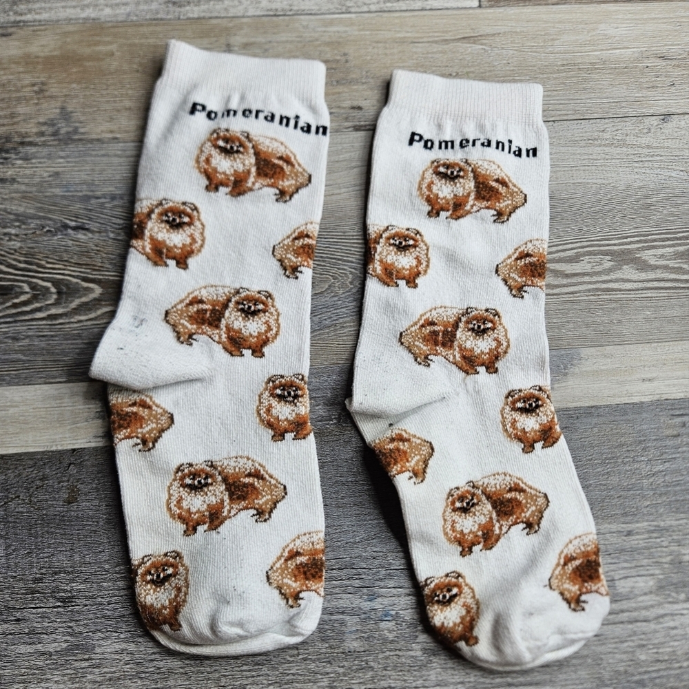 For Bare Feet Pomeranian Dog Socks